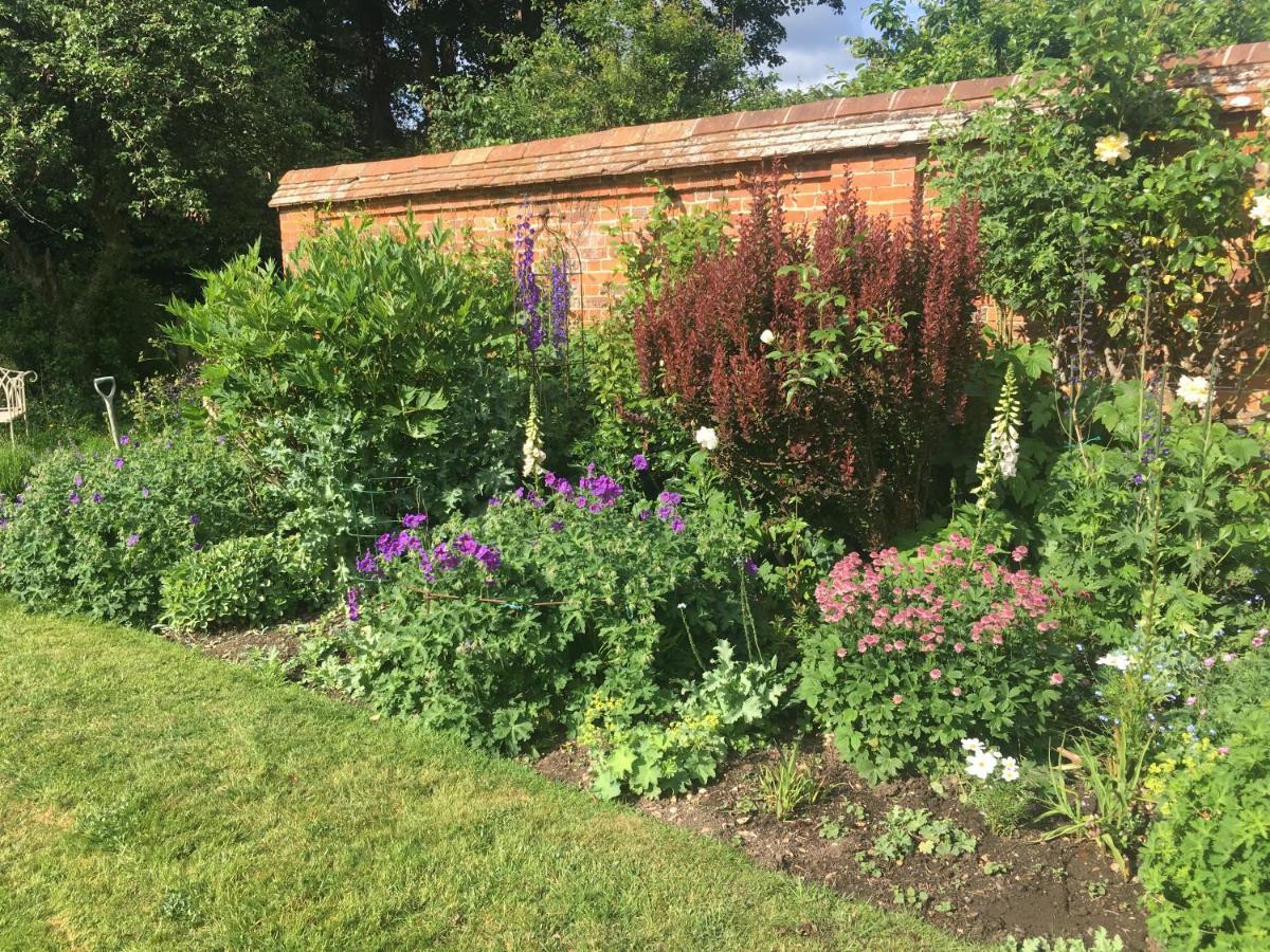 Garden Cottage B&B Penton Mewsey エクステリア 写真